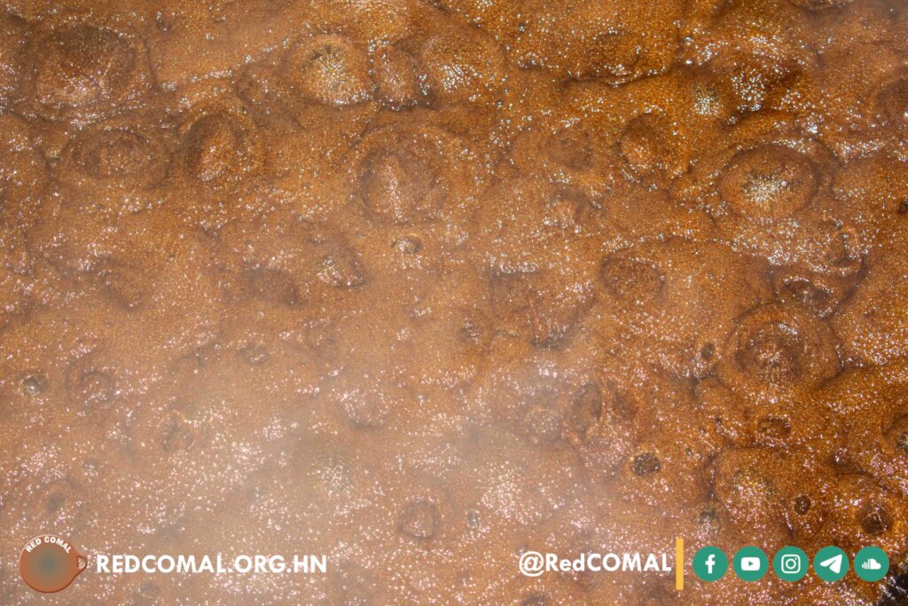 Community Farmers Transform Local Economy & Health