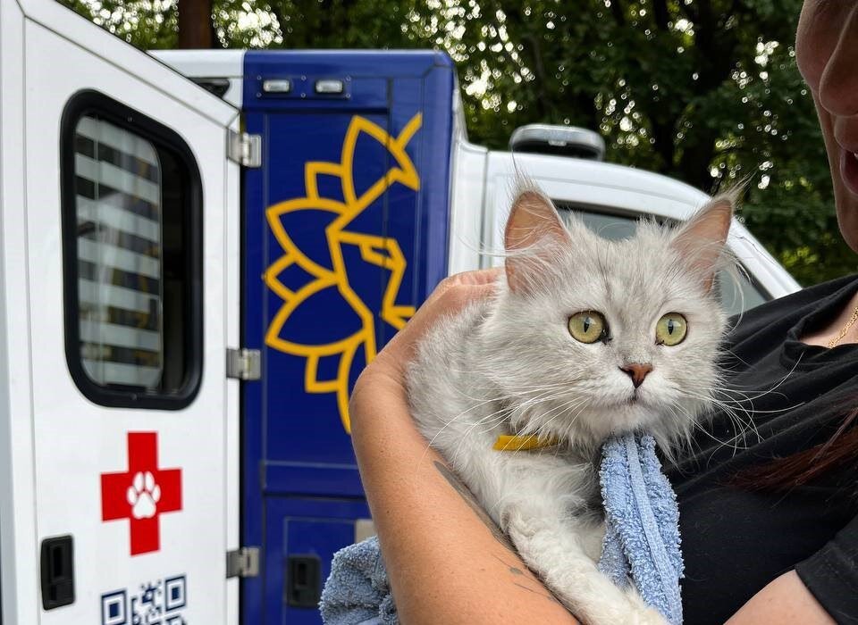 Mobile Vet Mission for Stray Animals in Ukraine