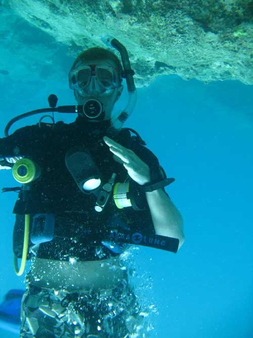 Help Rebuild the Gulf of Mexico Barrier Reef