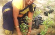 10000 Mangrove plantation and Conservation