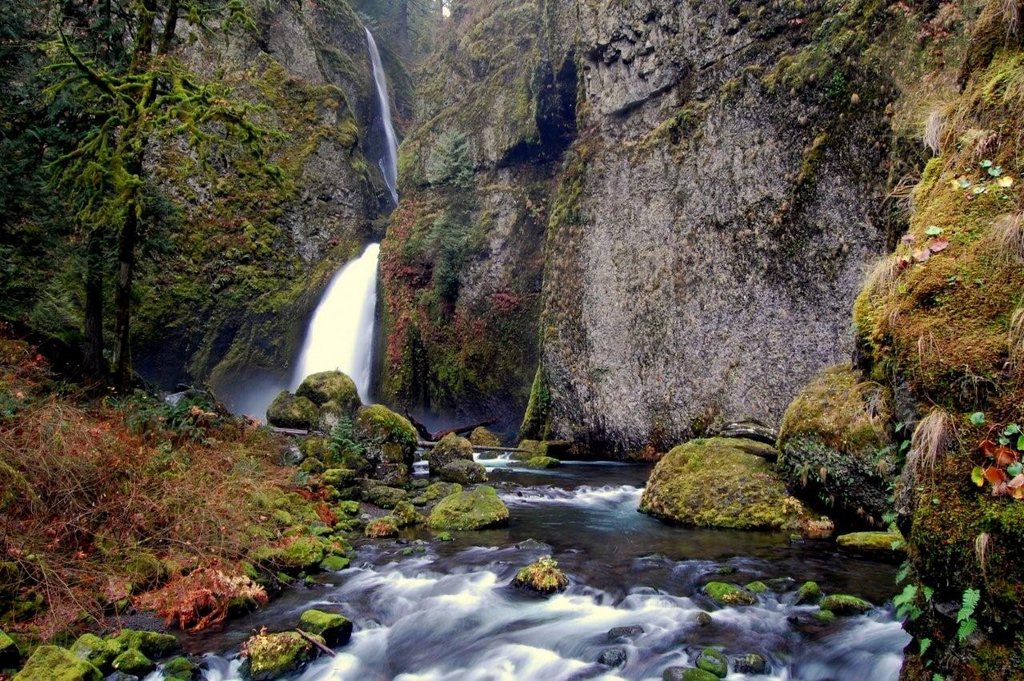 Support 116 environmental nonprofits!
