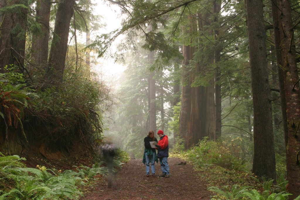 Support 116 environmental nonprofits!