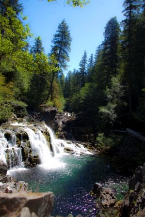 Support 116 environmental nonprofits!