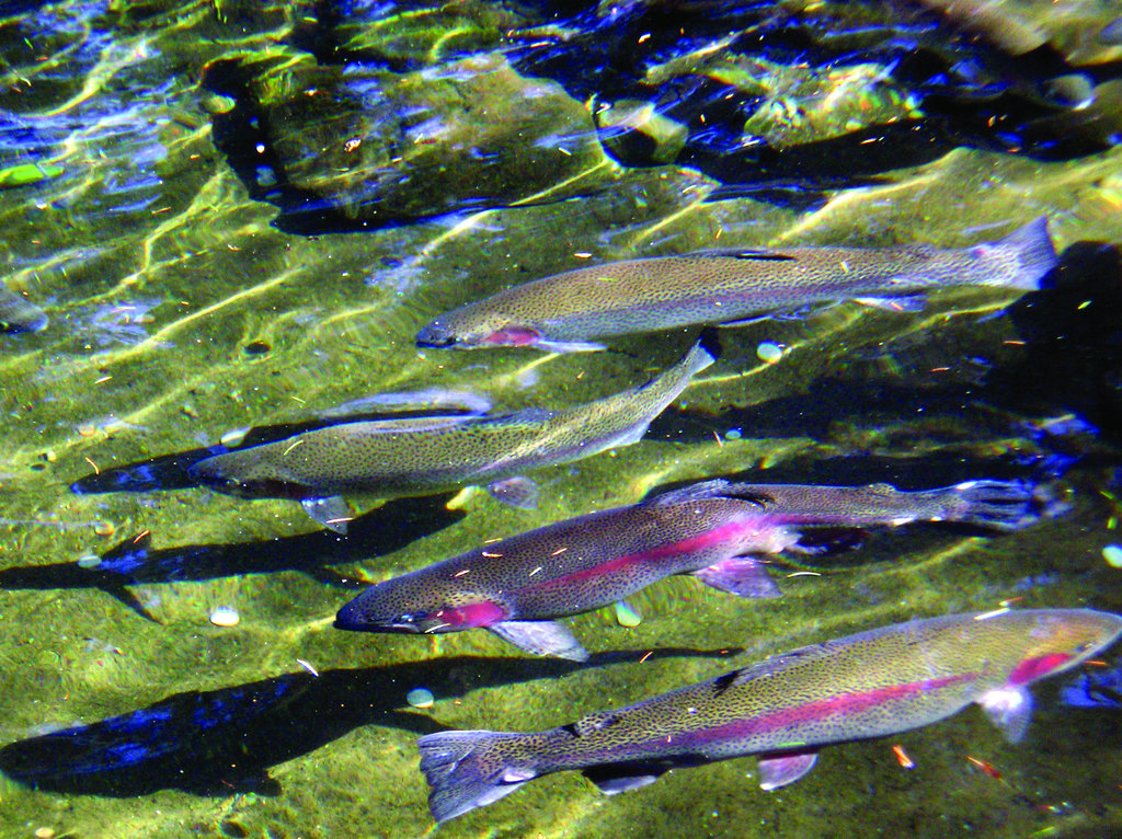 Support 116 environmental nonprofits!