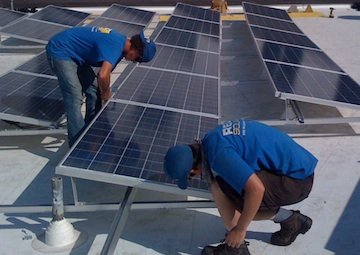 Support 116 environmental nonprofits!