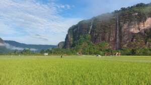 Study area landscape
