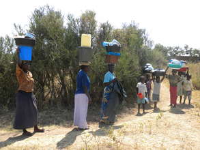 Women Walking 20 Miles