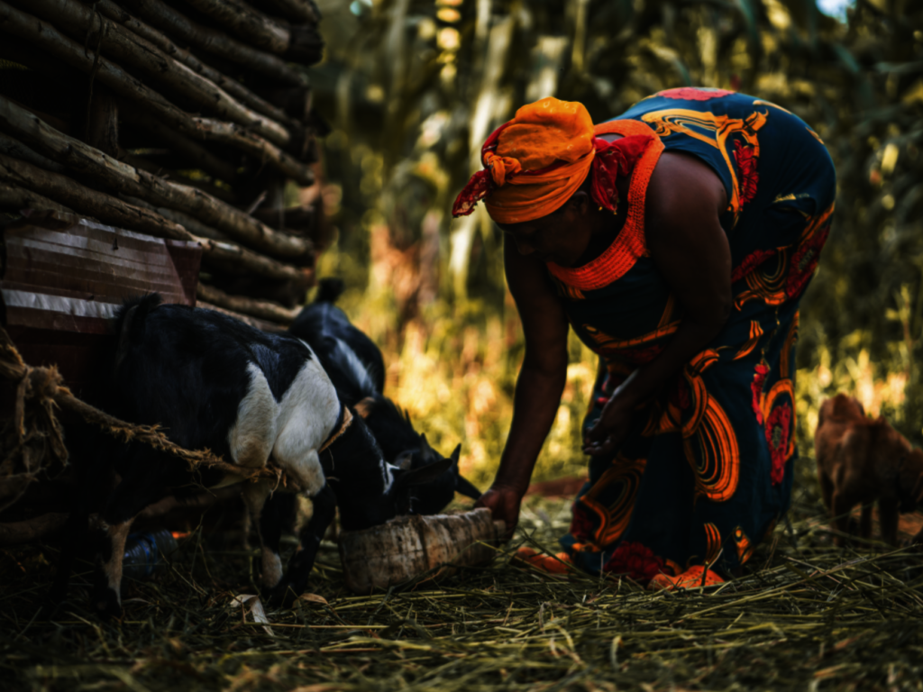 Empowerment Center and Demonstration Farm