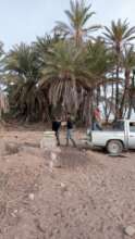 Transportation of materials