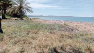 Two Neighboring Ecosystems, One Shared Vision