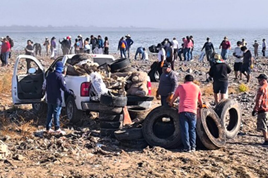 Cleanup campaign