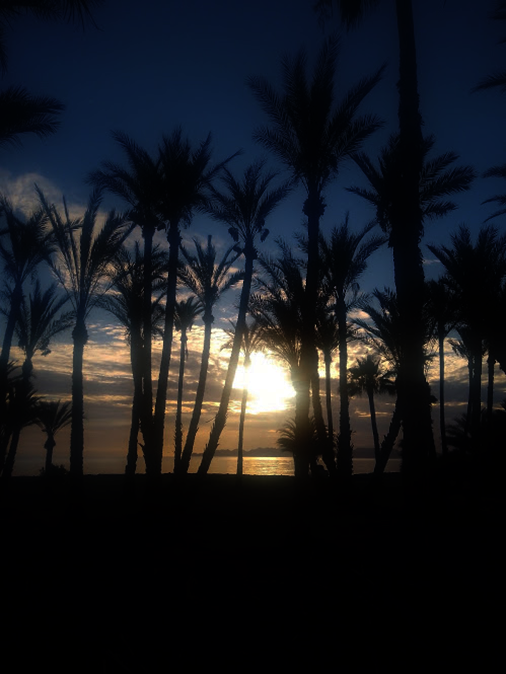 Nurturing environmental values in BCS Mexico