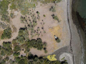 View of the McKee Center showing the seashore