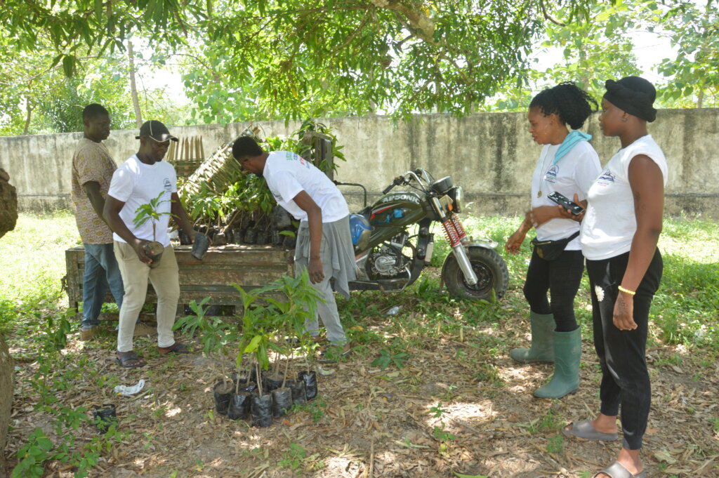 Plant 50,000 Native Trees in Togo's Rural schools