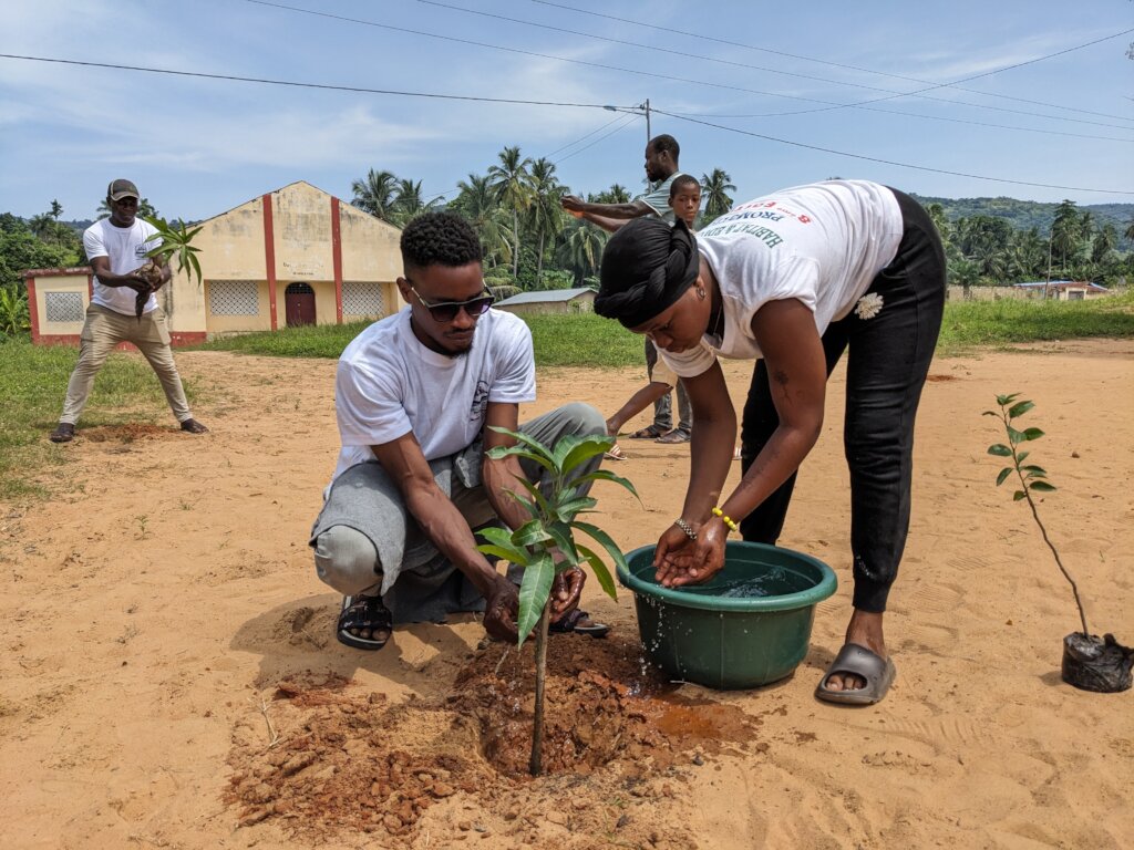 Plant 50,000 Native Trees in Togo's Rural schools