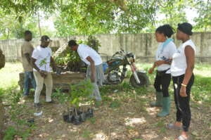 Getting ready to plant fruit trees in 24 schools