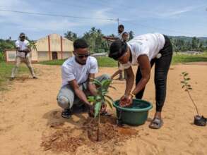 Planting mango and orange trees in 24 schools