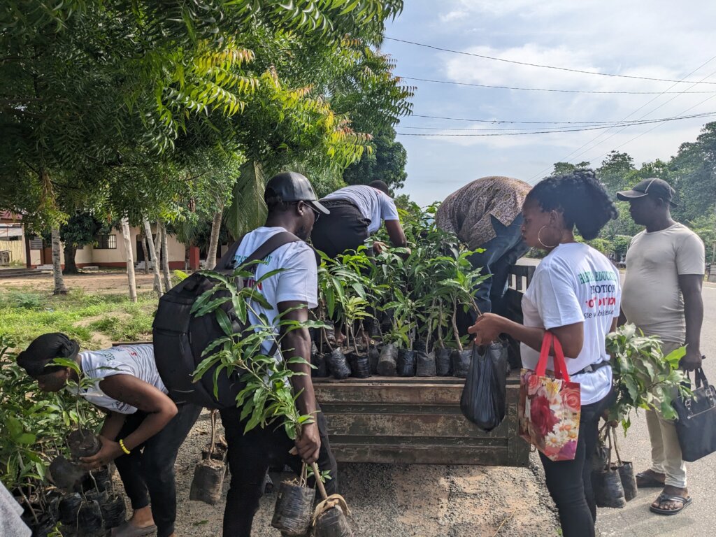 Plant 50,000 Native Trees in Togo's Rural schools