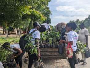 Plant 50,000 Native Trees in Togo's Rural schools