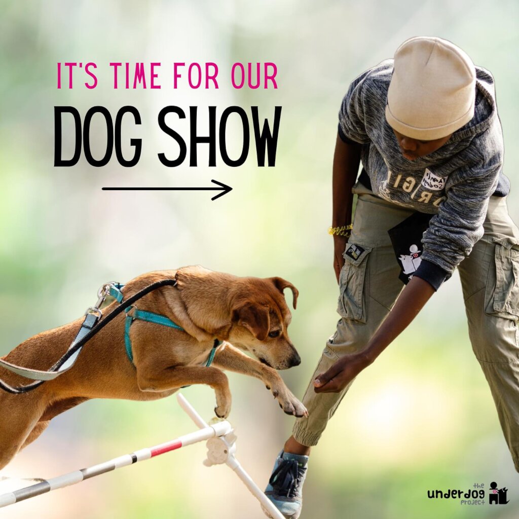 Our Dog Show- Always a Highlight of the Year!