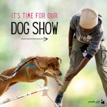 Our Dog Show- Always a Highlight of the Year!