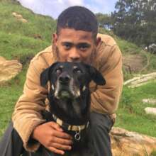 Empower Youth, Transform Shelter Dogs