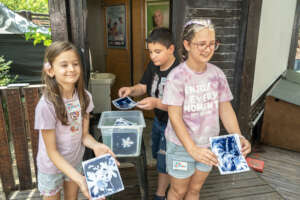 Cyanotype printing workshop