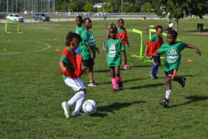 Play and make friends