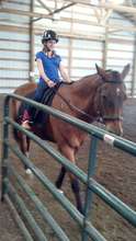 Emily riding
