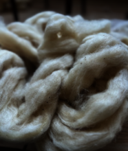 Before the wool is spun, it is called a sliver!