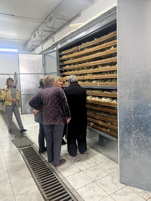 Arm.wool - Reviving Armenia's Wool Heritage