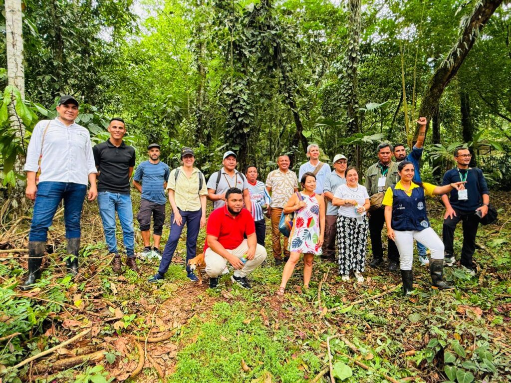 Territorial Regeneration Fund