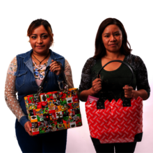 Women's empowerment and recycling in Mexico