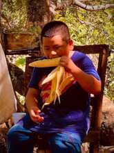 avoiding malnutrition
