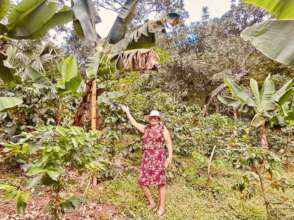 banana production