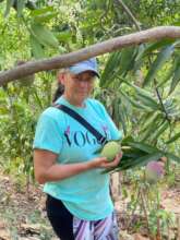 fruit production