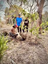 infiltration trenches