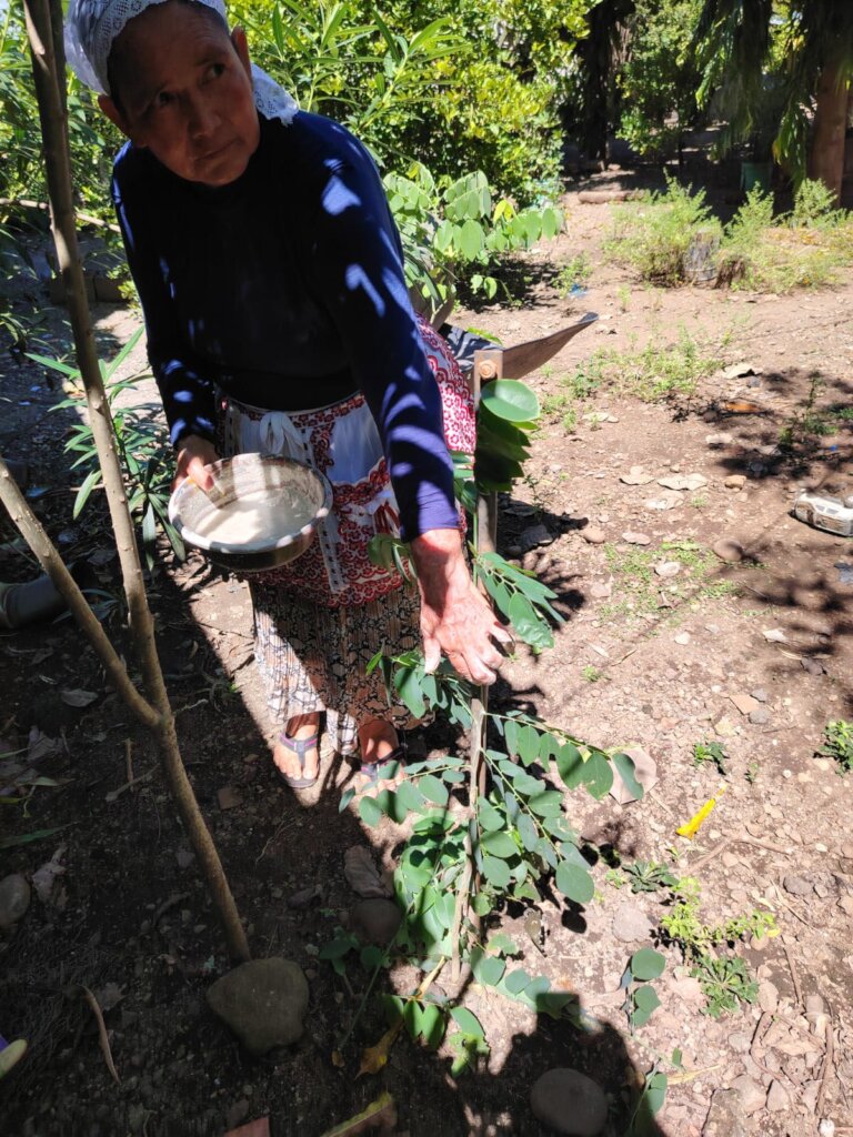 WOMEN WORKING AGROECOLOGY