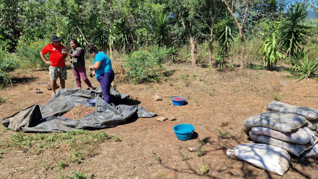 WOMEN WORKING AGROECOLOGY