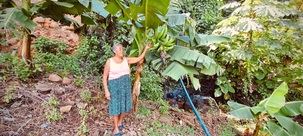 WOMEN WORKING AGROECOLOGY