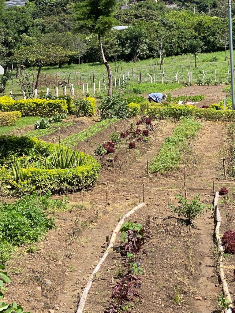 WOMEN WORKING AGROECOLOGY
