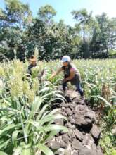 plot verificaction