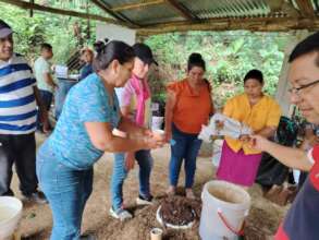 production of organic products