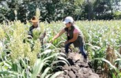 WOMEN WORKING AGROECOLOGY