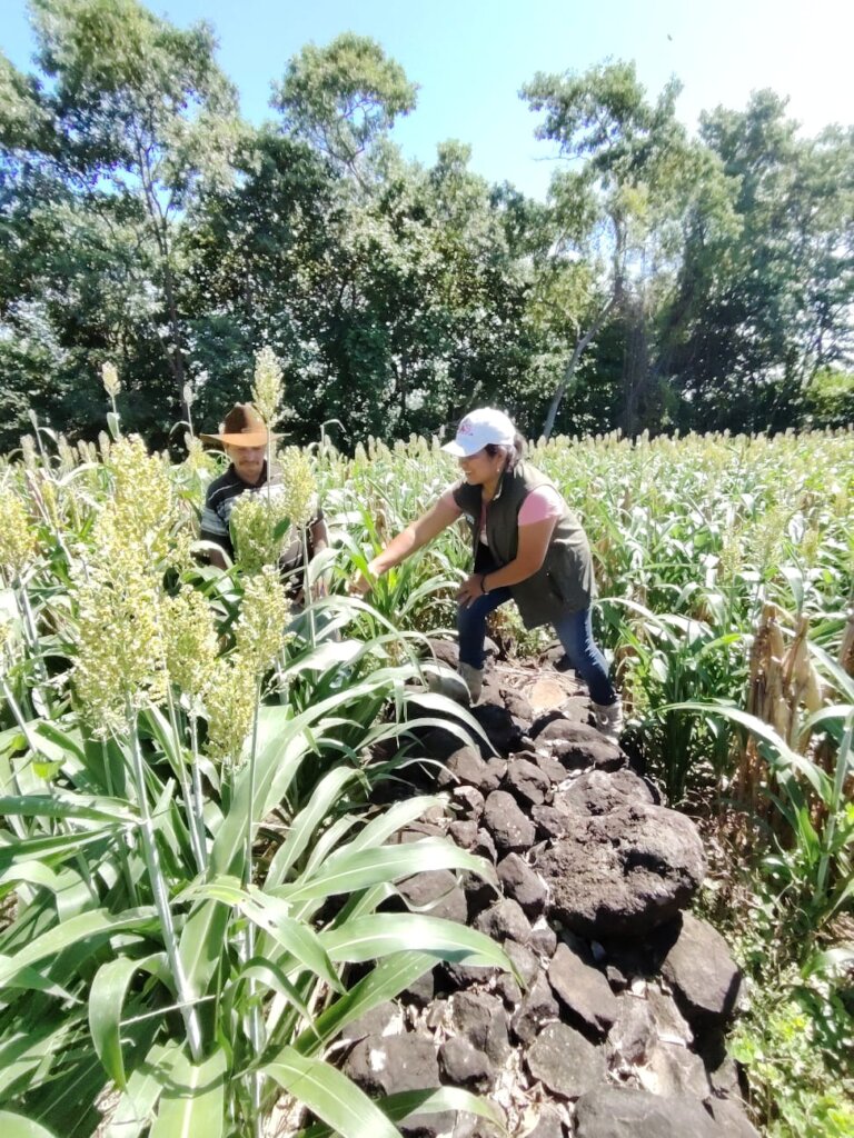 WOMEN WORKING AGROECOLOGY