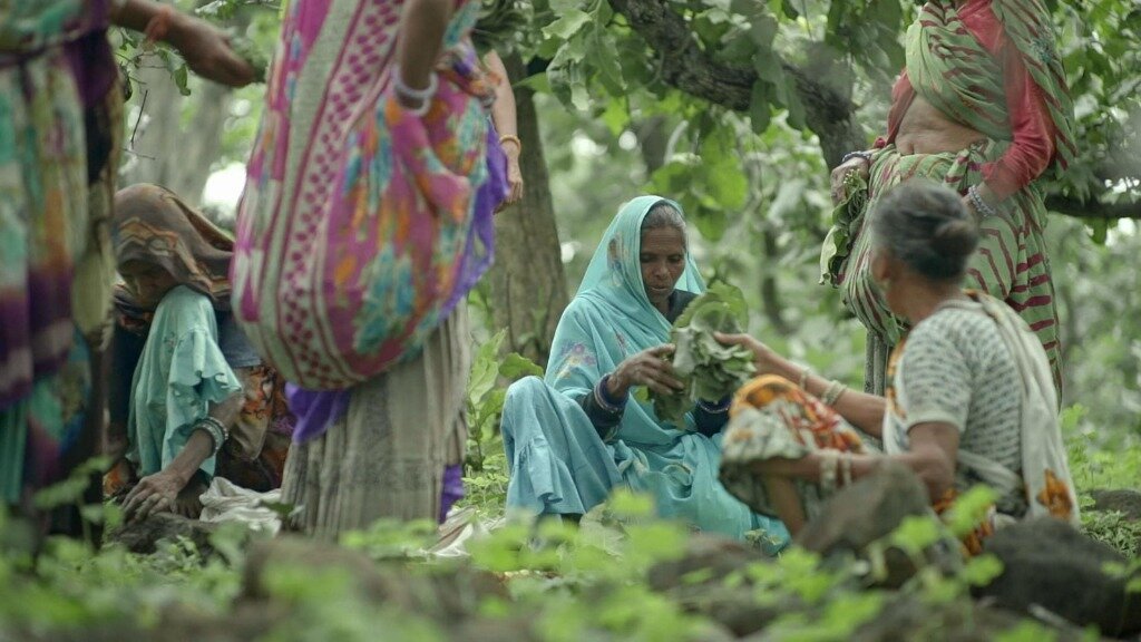 Empower 3,696 Indigenous Women