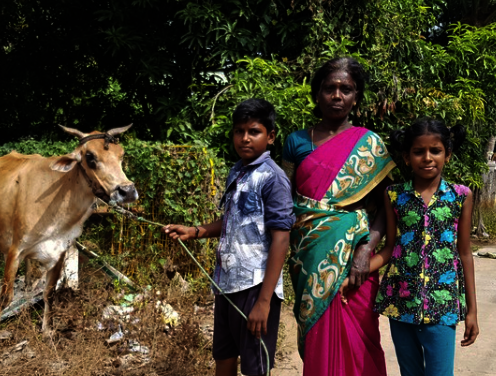 Organic fertiliser initiative in the community