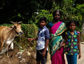 Organic fertiliser initiative in the community