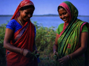 Livelihood Support for Women