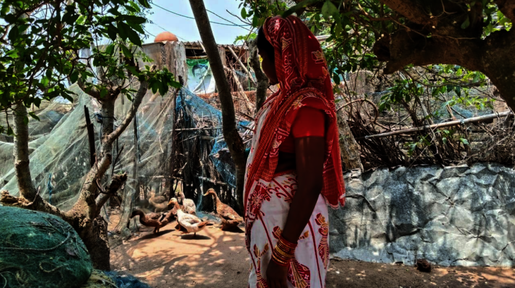 Tulasi Behera's poultry enterprise